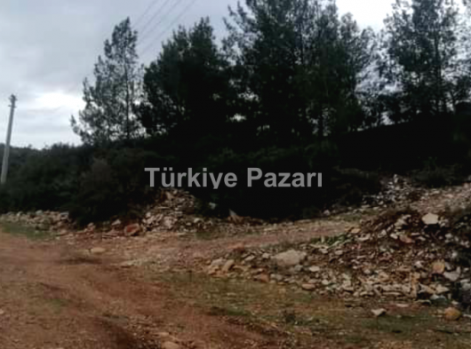 DİDİM AKYENİKÖY SEYRANTEPEDE ARSA ACİL SATILIK