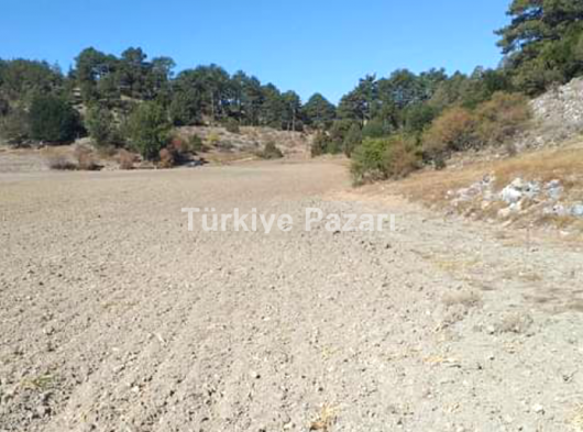 Sahibinden satılık 14 dönüm tarla