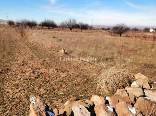 Süksün kumsekisi satılık Tarla