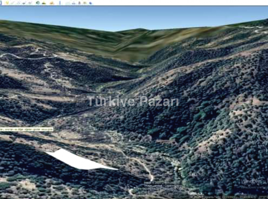 AYDIN KOÇARLI ÇALLISAĞIR KOYUNDE satılık zeytinlik