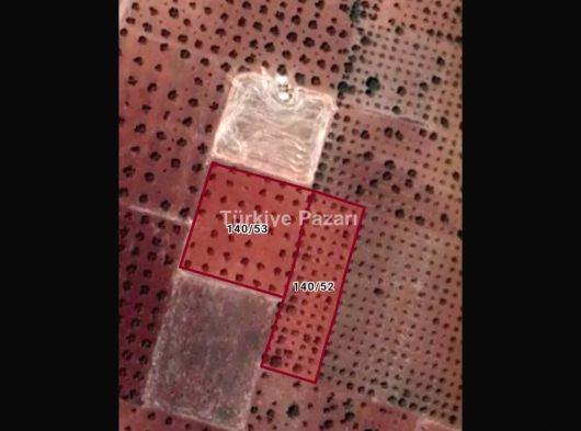 Şahinbey Kürüm satılık bahce