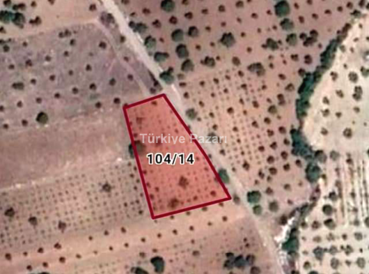 Oğuzeli İnönü 6979 m2 bağ evine uygun satılık Tarla