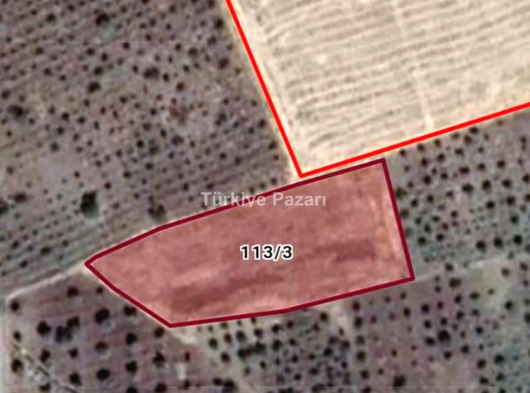 Şahinbey Belen'de Satılık Tarla