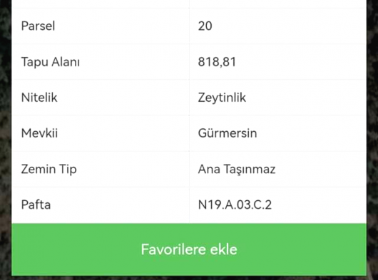 Milas'da uygun fiyata zeytinlik