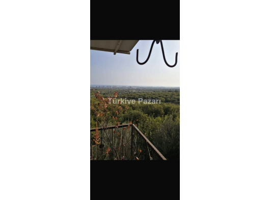 ASİYE GAYRİMENKUL'DEN MERSİN ÇEŞMELİ'DE SATILIK ARAZİ