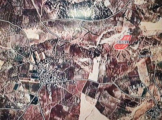 Şahinbey Dokur'da satılık zeytinlik