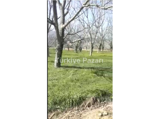 SAKARYA ARİFİYE BOĞAZKÖY SATILIK TOPLAM ARSALAR