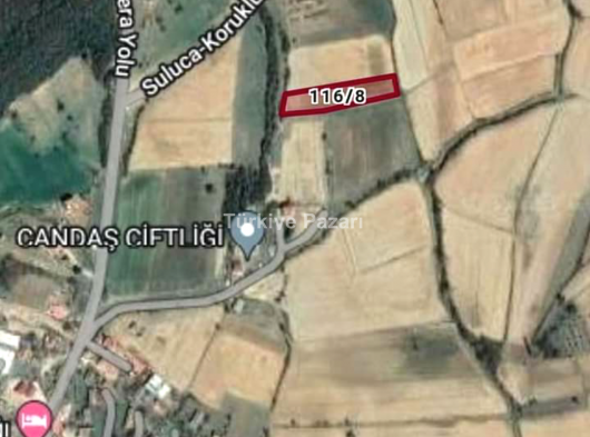 Koruklu Koyunde satılık tarla