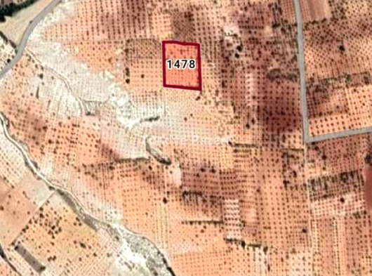 Şahinbey Zeytinli 6250m2 satılık Tarla