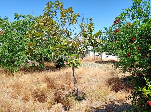 İmarlli toplalamda 1900 metre kare içinde 2 adet müstakil ev var