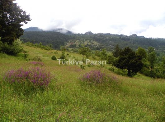 uygun imarlı arsalar