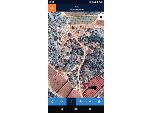 Silifke hasanaliler'de satılık limon bahcesi