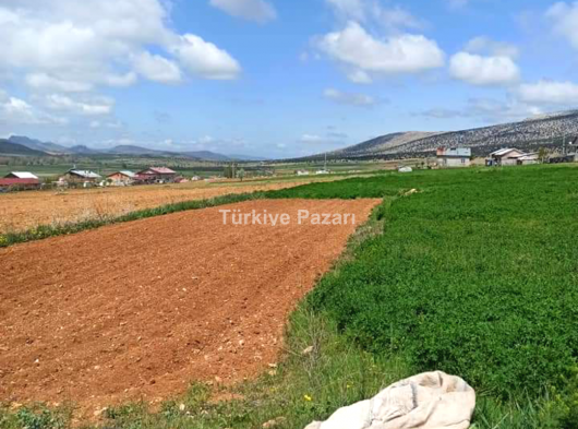 Meram Sefaköy Mahallesinde Sahibinden Satılık Tarla