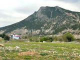 Selçuk Emlak & İnşaat'tan Aşcıbekirli Fenese Mevki'nde 400 m2 Satılık Arsa