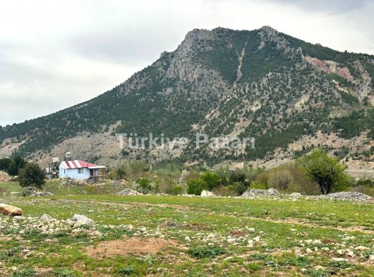 Selçuk Emlak & İnşaat'tan Aşcıbekirli Fenese Mevki'nde 400 m2 Satılık Arsa