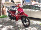 2023 model arora kasirga 125cc sıfır