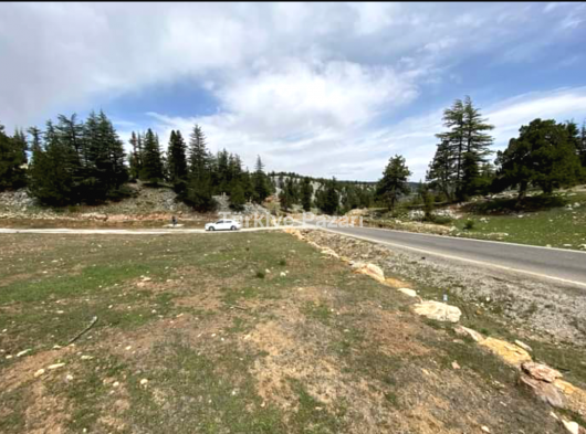 ZİRVE EMLAKTAN ERDEMLİ ASLANLI YAYLASINDA KİRALIK EŞYALI 2+1