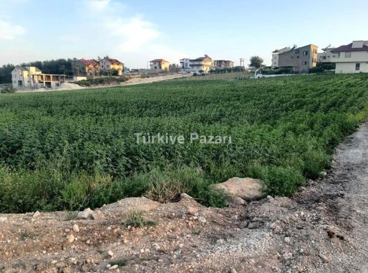 Seyhan Çınarlı Mahallesi Satılık Parsel