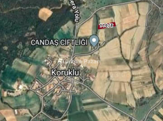 Edirne keşan erikli koruklu'da satılık tarla