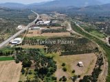 MENDERES ESKİ BULGURCA'DA ​240 m2 TARLA