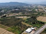 MENDERES ESKİ BULGURCA'DA ​240 m2 TARLA