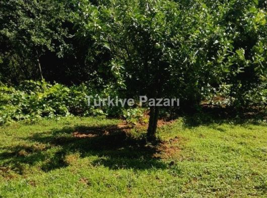 Cayırbagı yesıllıkler ıcınde Mustakıl tapu 469 m2 Yer