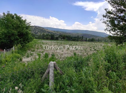 Sahibinden Güdül merkeze 5 km uzaklıkta satılık tarla