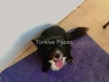 KIZIM ŞANS İÇİN YENİ YUVA