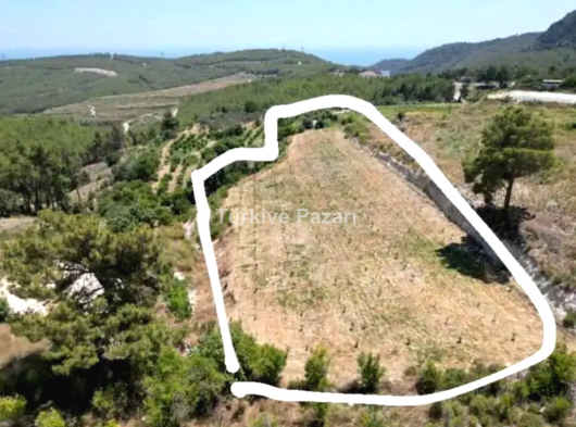 Erdemli Kösbucağı Mahallesi Satılık Tarla