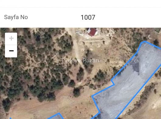 8.466 m2 tarla satılık Karaman Ermenek pamuklu köyü nde
