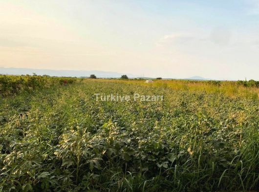 1976 MODEL KAÇIRILMAYACAK FİAT 480 TRAKTÖR