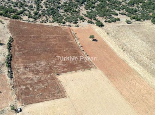 TAVAS GARİPKÖYDE SATILIK TARLA