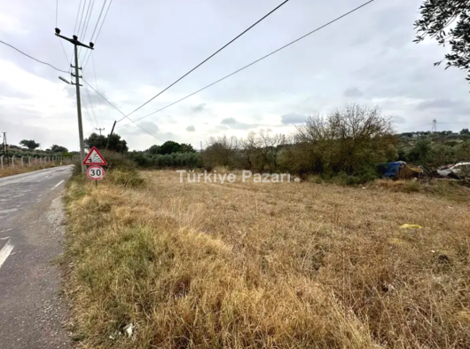 MENDERES ESKİ BULGURCA'DA ​240 m2 TARLA