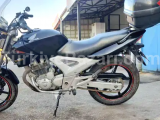 Honda CBF 250 sıfır motor zil gibi