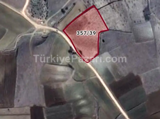 Satılık Üzüm Bağı