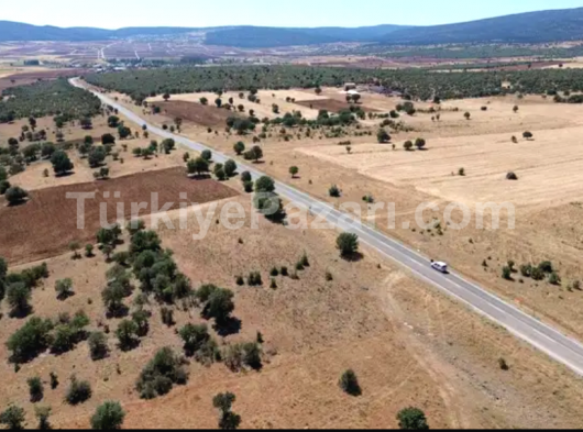 Akören Hacılar'da Asfalt yola cephe satılık tarla