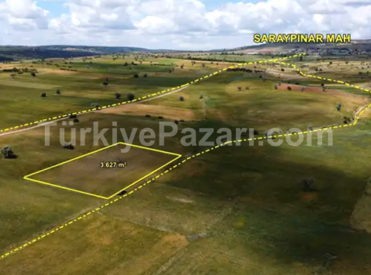 BEYŞEHİR YENİDOĞAN-SARAYYOLU SATILIK TARLA