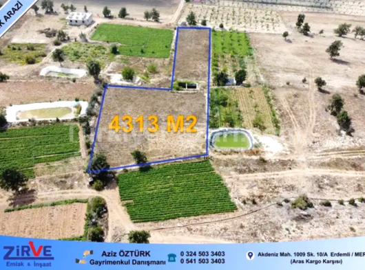 ERDEMLİ ESENPINARINDA SATILIK TAM BİR KELEPİR