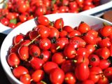 KUŞBURNU ORGANİK MEYVE ÇAY VE MARMELAT İÇİN KG: 220 tl