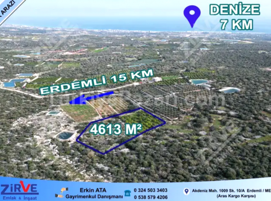 ERDEMLİ BATISANDAL MAHALLESİ'NDE SATILIK ARAZİ