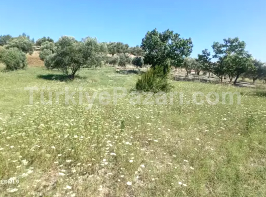 ÇOK ACİLL SATILIK ARSA 300m2