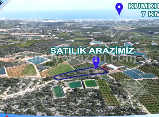 MERSİN ERDEMLİ KÖSBUCAĞI'NDA EV YAPIMINA UYGUN ASFALT YOLA CEPHELİ ARAZİ