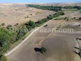 3.522 m² KONYA AKÖREN TÜLCE TARLA