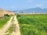 MÜSTAKİL TEK TAPU MİLAS KISIRLAR DÖRTYOL KAVŞAĞINA YAKIN ANA YOLLA CEPHELİ YOL ÜZERİ SÜPER YATIRIMLI