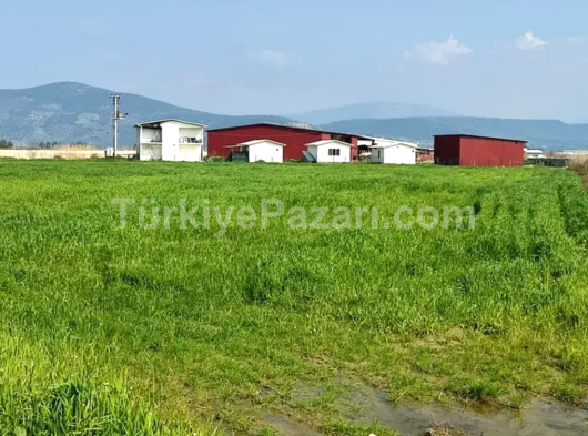 Milas Koru'da Satılık Tarla