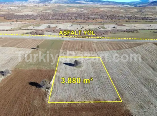 3.880 m² KONYA BEYŞEHİR YENİDOĞAN-YÜKSEK TARLA