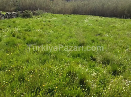 Bodrum Yeniköy mahallesi müstakil tek tapu imarlı kupon arazi