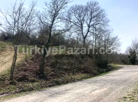 Balıkesir Manyas Necip'de Köye 600 mt Satılık Tarla