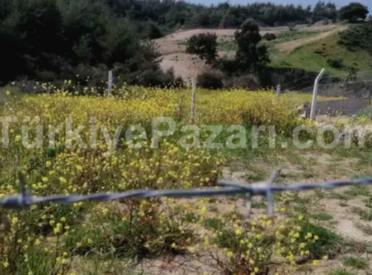 Adana sarıcam Boynuyoğun da 15 katlı binanın 8 katı havuz siteli 3 balkonlu genış oturumlu 2+1