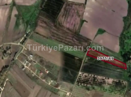 ACİL İHTİYAÇTAN DOLAYI SATILIK KÖYÜN DİBİNDE MÜSTAKİL TEMİZ TAPU BURSA KARACABEY KEŞLİK MAHALLESİ